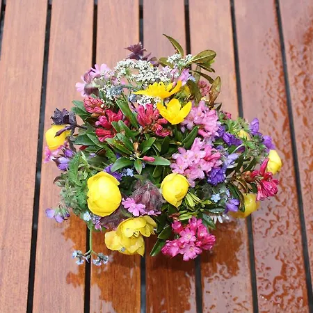 Locanda Naturfreundehaus Clavadel Davos