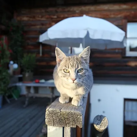 Naturfreundehaus Clavadel Inn Davos