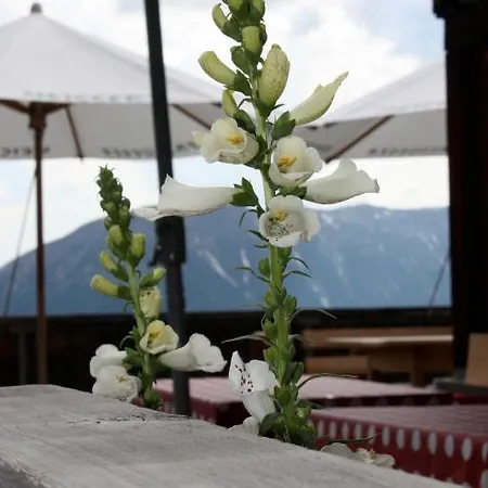 Naturfreundehaus Clavadel Locanda *