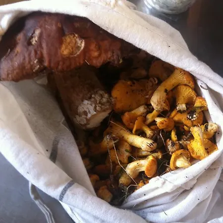 Naturfreundehaus Clavadel Locanda Davos