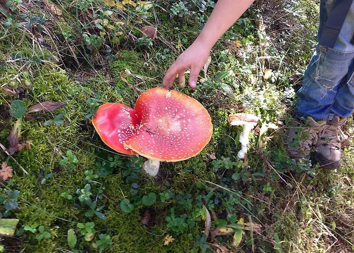 Naturfreundehaus Clavadel Мини-отель Давос