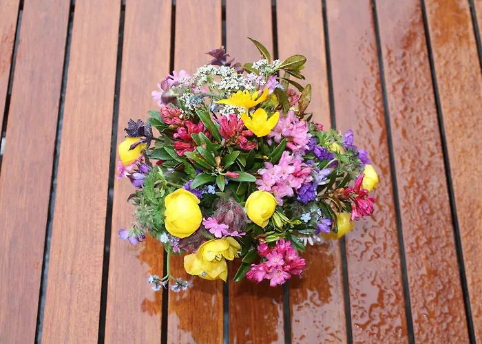 אורחן Naturfreundehaus Clavadel דאבוס