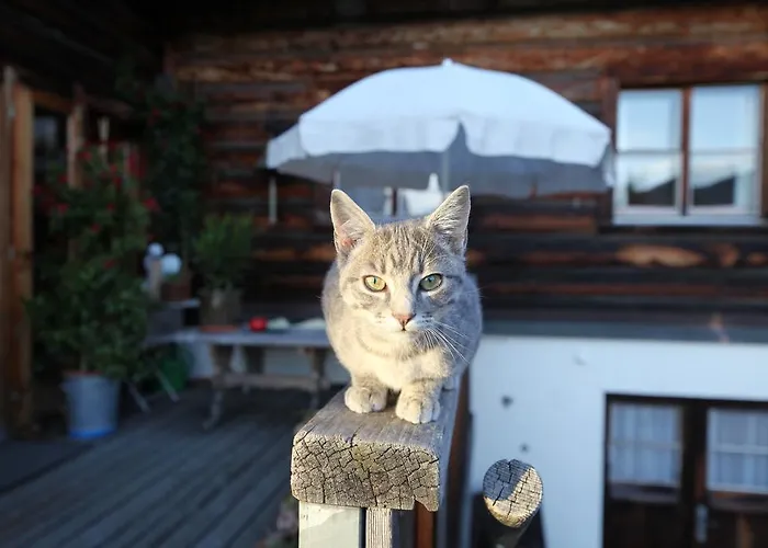 Naturfreundehaus Clavadel אורחן דאבוס