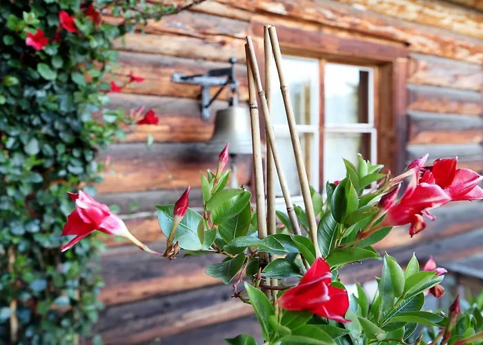 Мини-отель Naturfreundehaus Clavadel