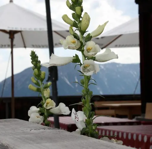 Naturfreundehaus Clavadel אורחן *