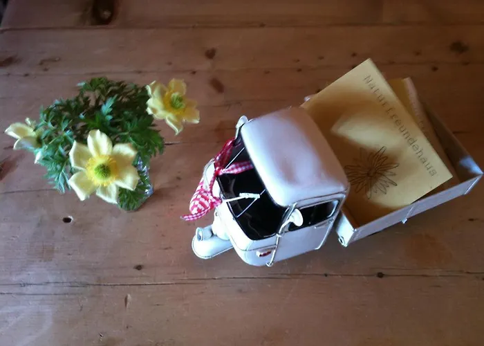 Naturfreundehaus Clavadel Давос