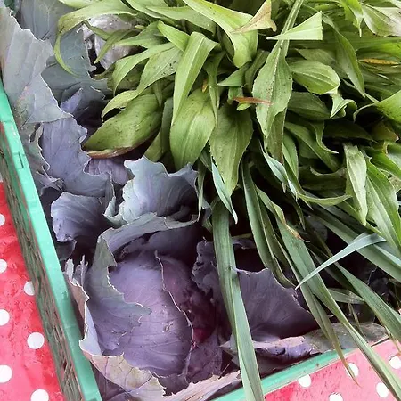 Naturfreundehaus Clavadel *