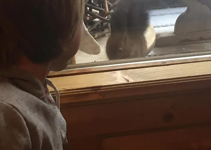 Naturfreundehaus Clavadel Inn *