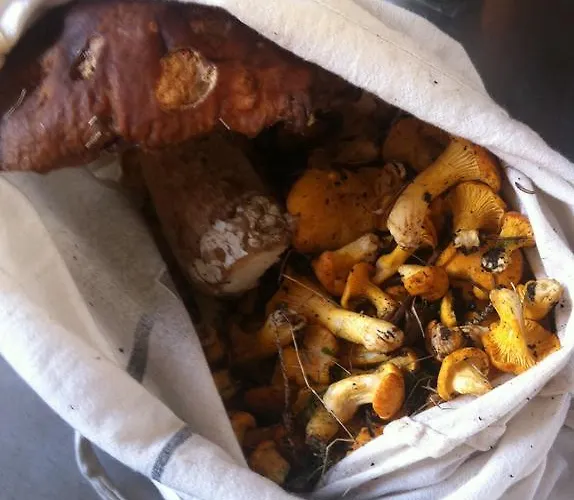 Naturfreundehaus Clavadel Inn Davos