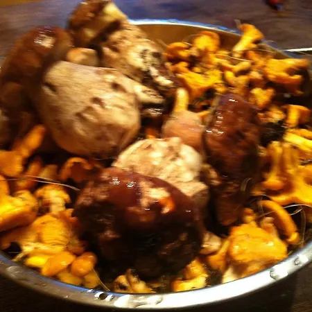 宾馆 Naturfreundehaus Clavadel