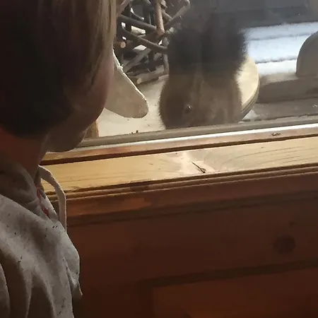 Naturfreundehaus Clavadel 宾馆 *