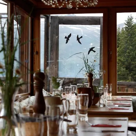 Naturfreundehaus Clavadel 达沃斯