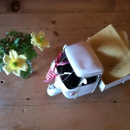 Naturfreundehaus Clavadel 达沃斯